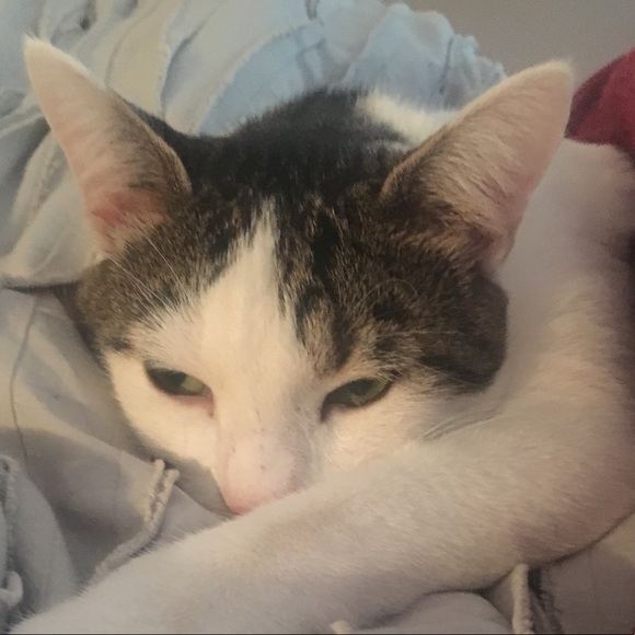 Meet your Posher, Jacqueline - Picture 1 of 1